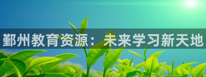 新航娱乐怎么开户