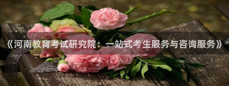 新航娱乐招商Q