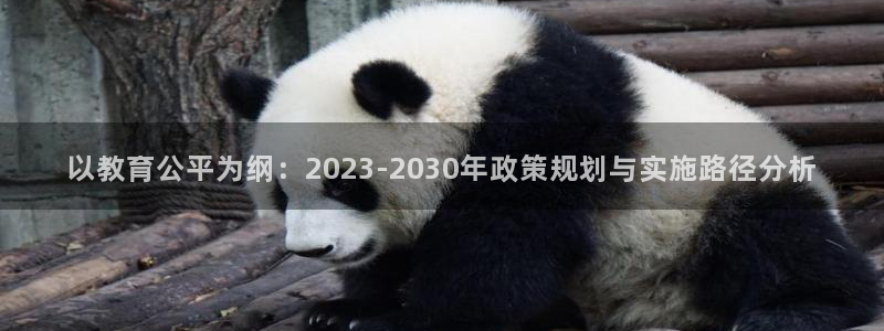 中国新航娱乐官网入口：以教育公平为纲：2023-2030年政