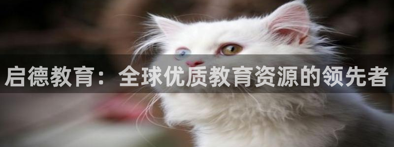 新航娱乐是正规平台吗