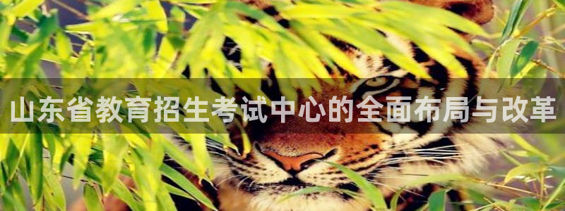 新航娱乐登录大厅：山东省教育招生考试中心的全面布局与改革