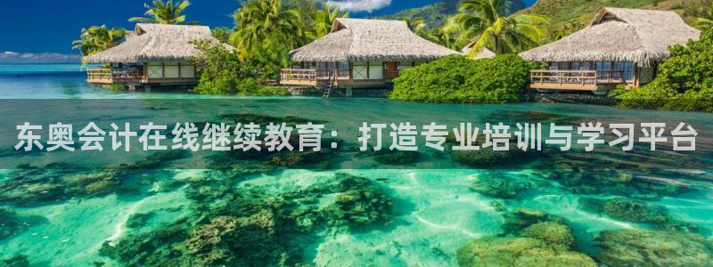 新航娱乐传媒招聘信息：东奥会计在线继续教育：打造专业培训与学