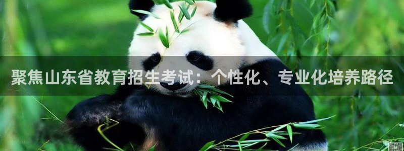 萧山娱乐新航母阿里巴巴