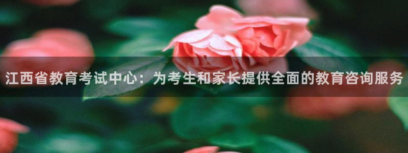 餐饮娱乐新航向：江西省教育考试中心：为考生和家长提供全面的教