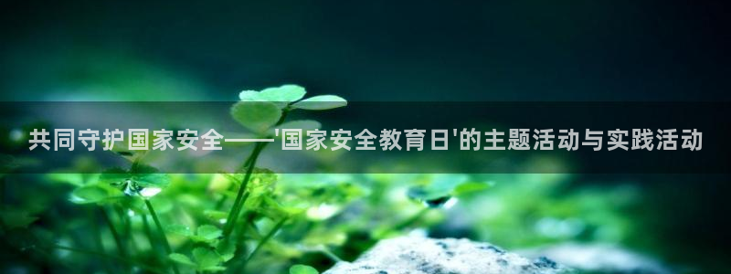 成都中创新航娱乐区：共同守护国家安全——\'国家安全教育日\