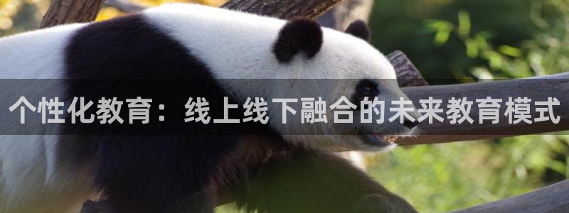 新航娱乐公司招聘信息：个性化教育：线上线下融合的未来教育模式