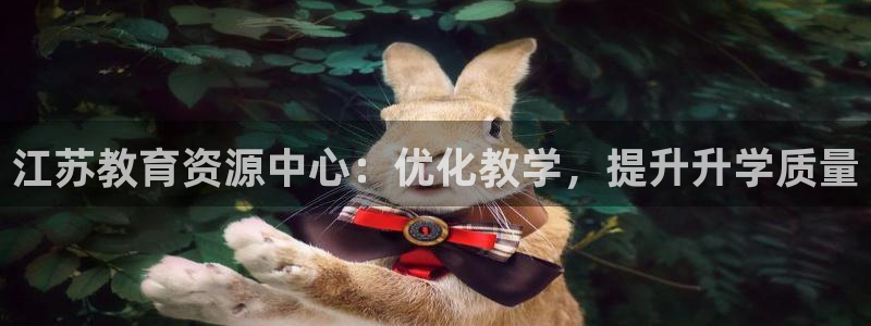 新航娱乐官网登录：江苏教育资源中心：优化教学，提升升学质量