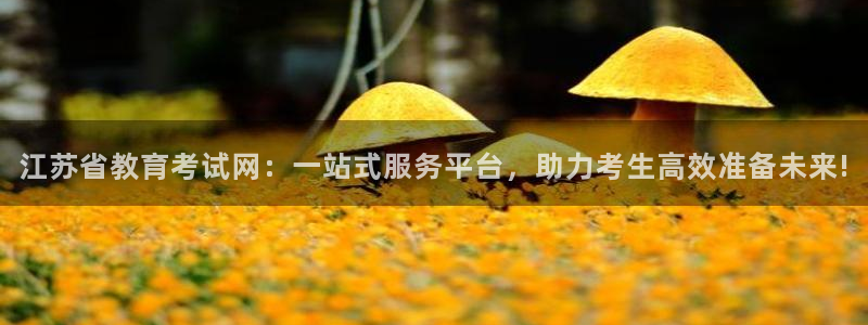 新航娱乐的创始人背景：江苏省教育考试网：一站式服务平台，助力