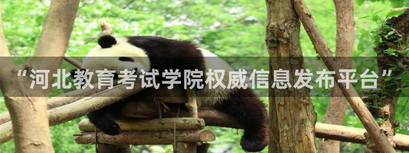 新航娱乐官方网站登录：“河北教育考试学院权威信息发布平台”
