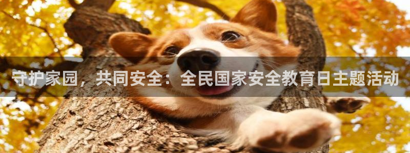 新航飞机椅背娱乐设备：守护家园，共同安全：全民国家安全教育日
