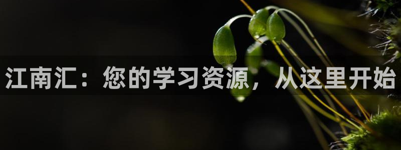 邯大新航娱乐：江南汇：您的学习资源，从这里开始