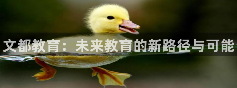 新航娱乐有限公司地址：文都教育：未来教育的新路径与可能