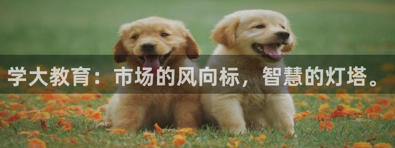 新航娱乐有限公司招聘：学大教育：市场的风向标，智慧的灯塔。