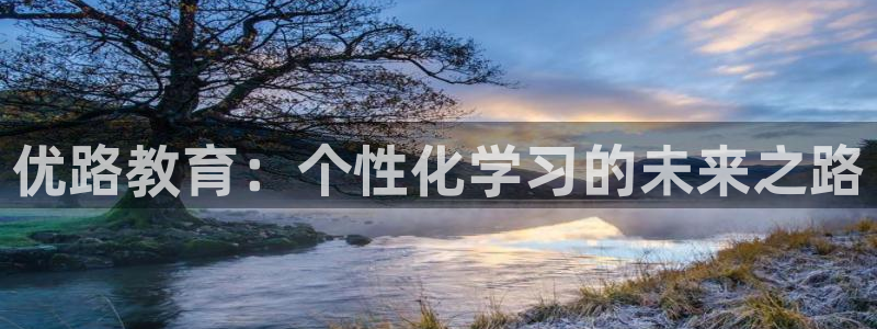 新航sq806娱乐系统：优路教育：个性化学习的未来之路