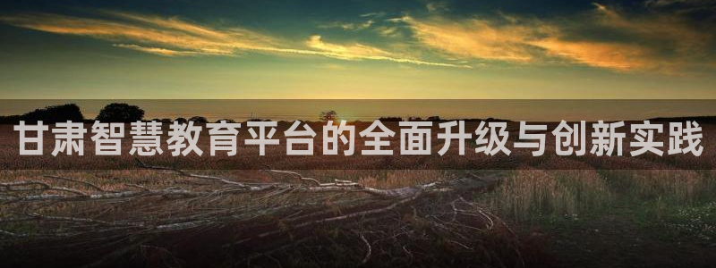 新航娱乐值得买吗：甘肃智慧教育平台的全面升级与创新实践