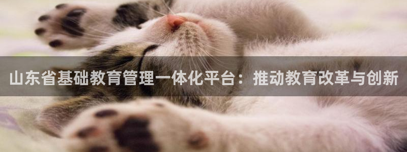 新航娱乐街7O935：山东省基础教育管理一体化平台：推动教育