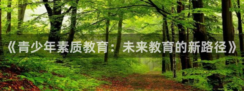 新航娱乐设施：《青少年素质教育：未来教育的新路径》