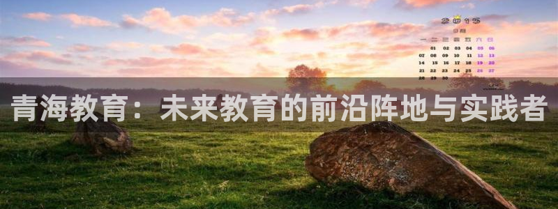 新航娱乐公司问题分析：青海教育：未来教育的前沿阵地与实践者