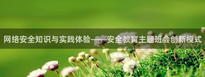 兰山新航线娱乐：网络安全知识与实践体验——安全教育主题班会创