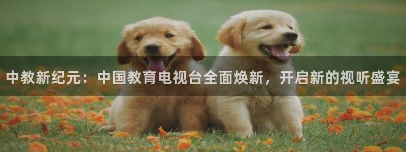 新航海大酒店娱乐城：中教新纪元：中国教育电视台全面焕新，开启
