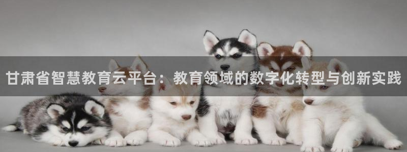 新航娱乐官网登录：甘肃省智慧教育云平台：教育领域的数字化转型