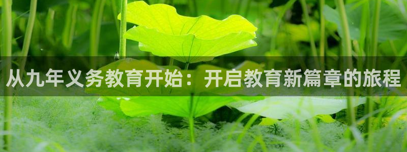 新航娱乐公司简介资料：从九年义务教育开始：开启教育新篇章的旅
