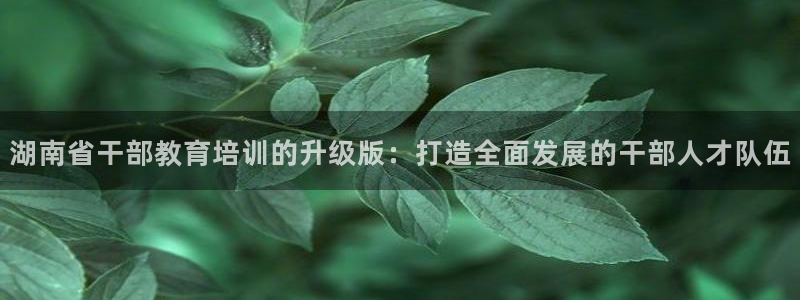 新航娱乐公司简介资料：湖南省干部教育培训的升级版：打造全面发