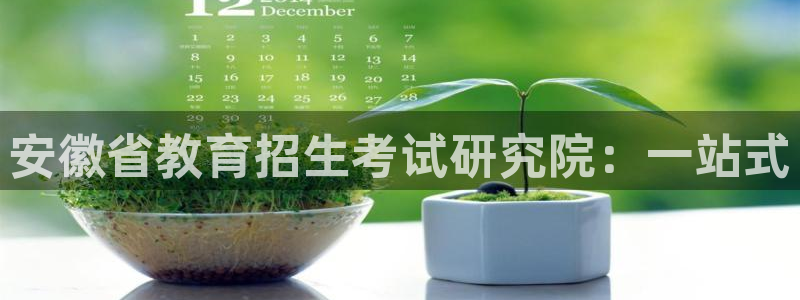 新航娱乐是干嘛的：安徽省教育招生考试研究院：一站式