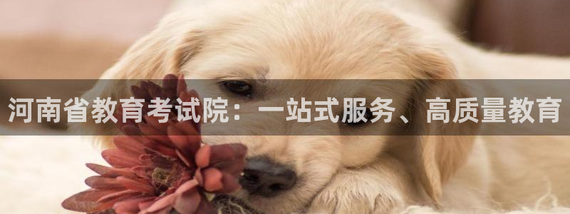娱乐新航线：河南省教育考试院：一站式服务、高质量教育