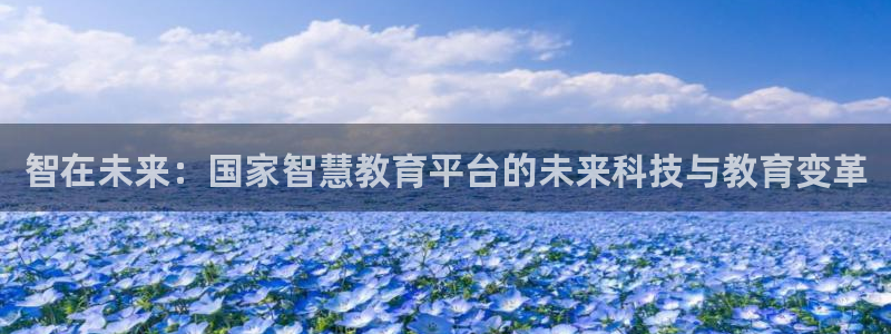 新航娱乐安卓版下载：智在未来：国家智慧教育平台的未来科技与教