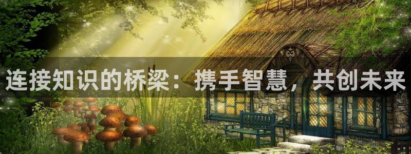 新航娱乐主管：连接知识的桥梁：携手智慧，共创未来