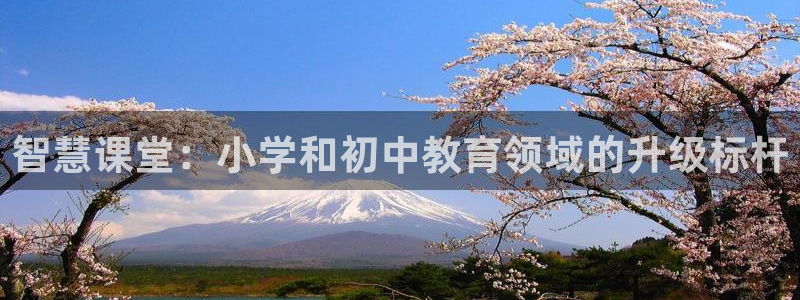 新航娱乐公司旗下艺人：智慧课堂：小学和初中教育领域的升级标杆